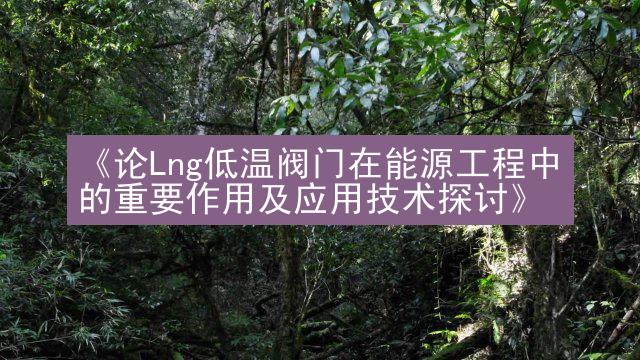 《论Lng低温阀门在能源工程中的重要作用及应用技术探讨》